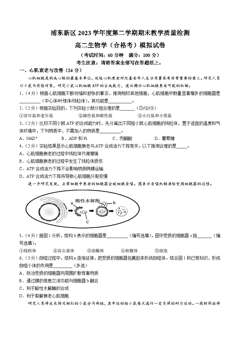 上海市浦东新区2023-2024学年度高二下学期期末教学质量检测生物学（合格考）模拟试卷（含答案）第1页