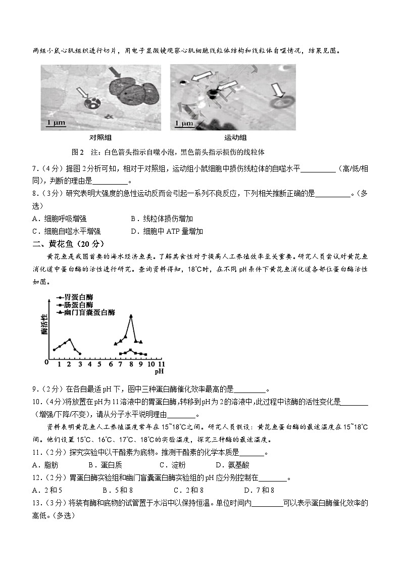上海市浦东新区2023-2024学年度高二下学期期末教学质量检测生物学（合格考）模拟试卷（含答案）第2页
