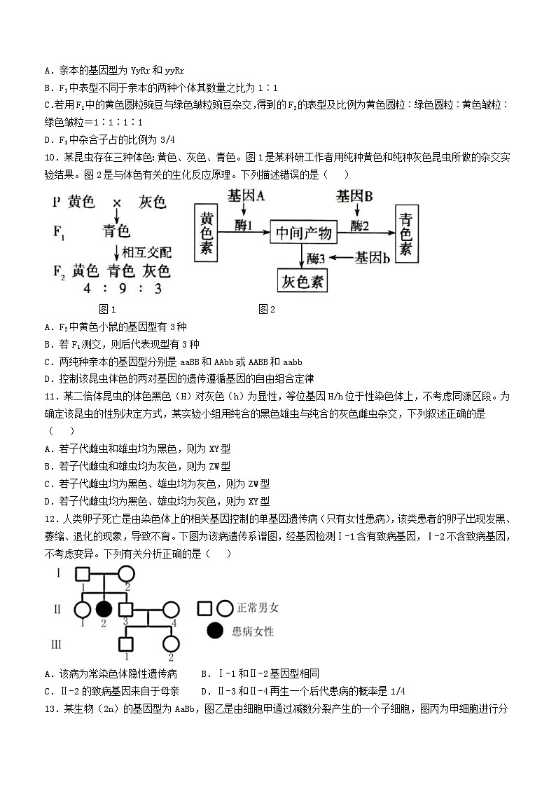 四川省广安友实学校2023-2024学年高一下学期6月月考生物试题（含答案）第3页