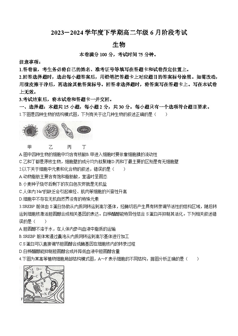 辽宁省部分学校2023-2024学年高二下学期6月阶段考生物试卷（含答案）第1页