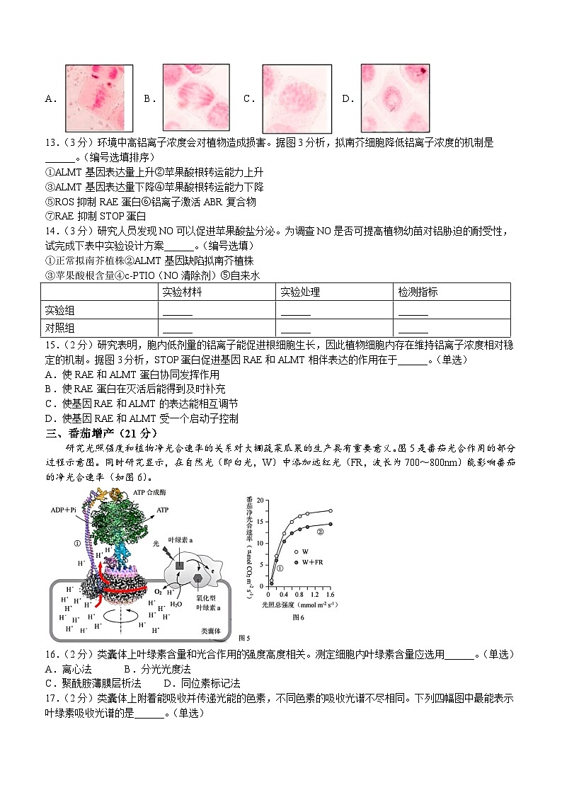 上海市杨浦区2023-2024学年高二下学期期末考试生物试卷（含答案）03