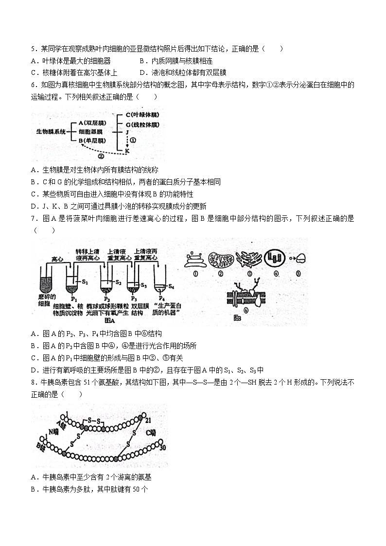 江西省南昌市十中2023-2024学年高二下学期第二次月考生物试题（含答案）02