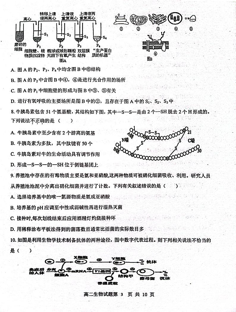 江西省南昌市十中2023-2024学年高二下学期第二次月考生物试题03