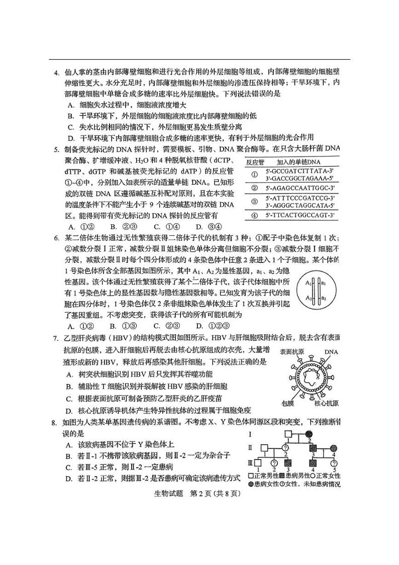[生物]2024年新课标高考真题山东卷生物真题试卷(无答案)02