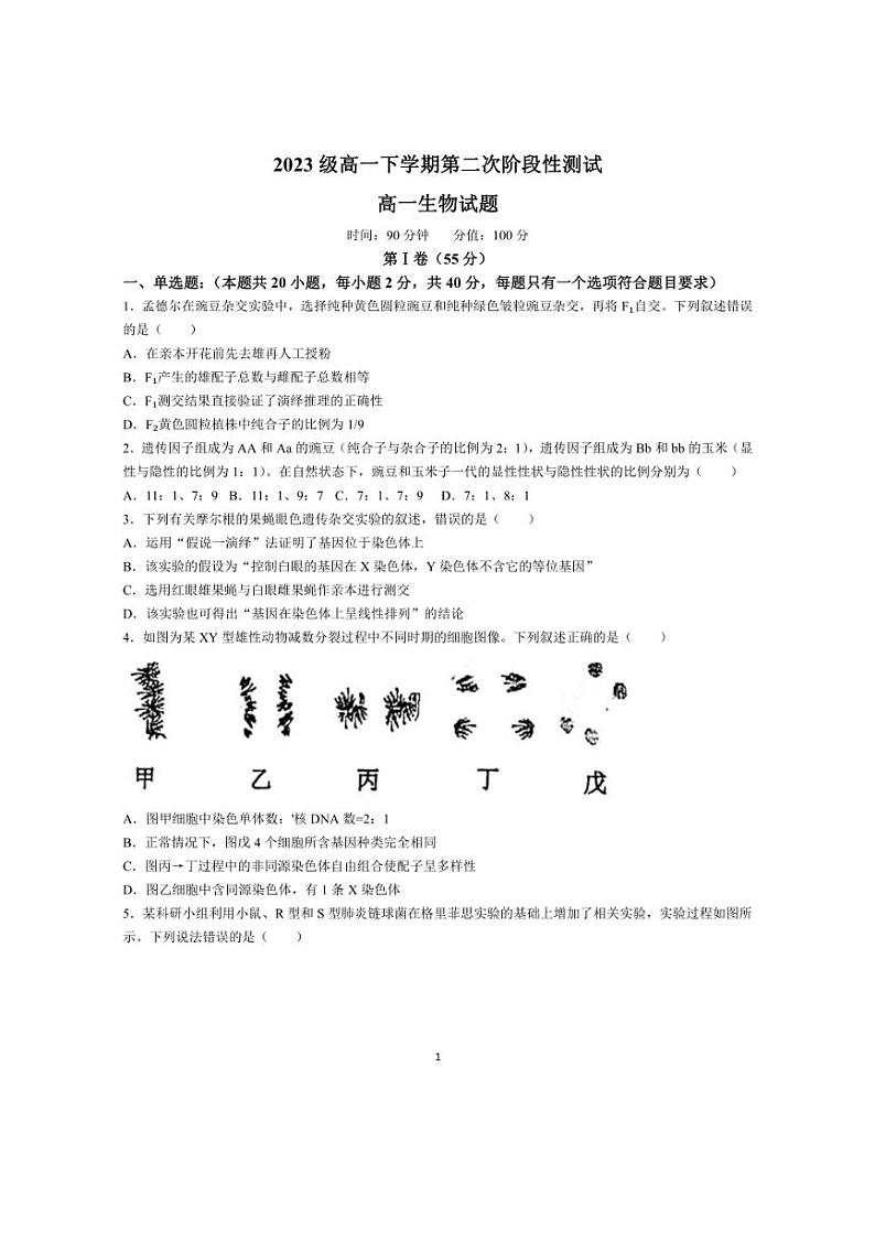 [生物]山东省聊城一中2023～2024学年高一下学期第二次阶段性测试月考生物试题（有答案）第1页