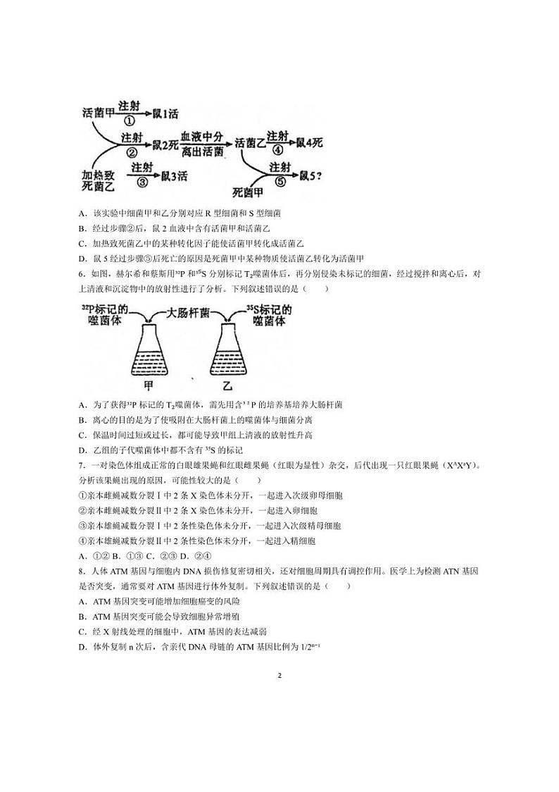 [生物]山东省聊城一中2023～2024学年高一下学期第二次阶段性测试月考生物试题（有答案）第2页