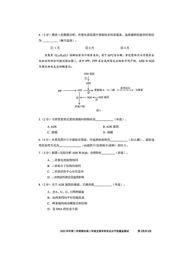 [生物]上海市宝山区2023～2024学年高二下学期期末教学质量监测生物试卷（有答案）02