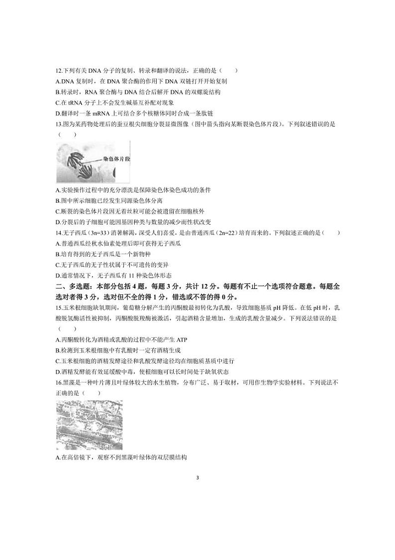 [生物]江苏省南通市海安高级中学2023～2024学年高一下学期第二次月考生物试题（有答案）03