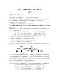 [生物]河北省邢台市邢襄联盟2023～2024学年高一下学期第三次月考试题生物（有答案）