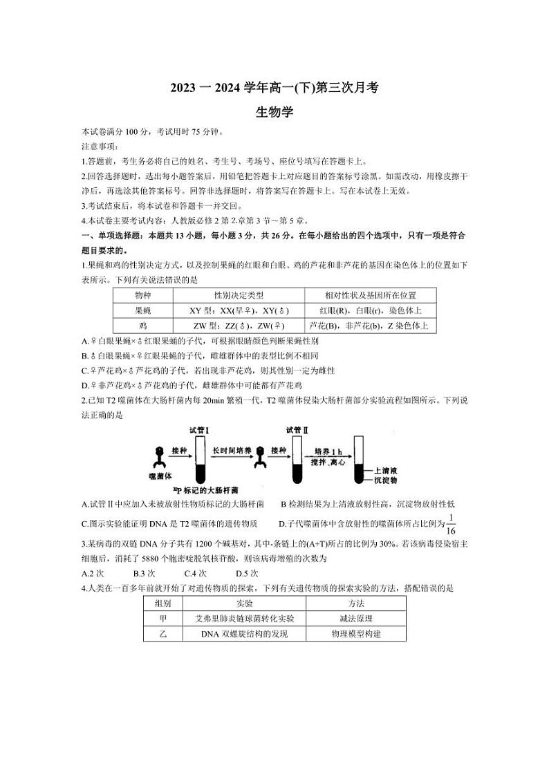 [生物]河北省邢台市邢襄联盟2023～2024学年高一下学期第三次月考试题生物（有答案）第1页