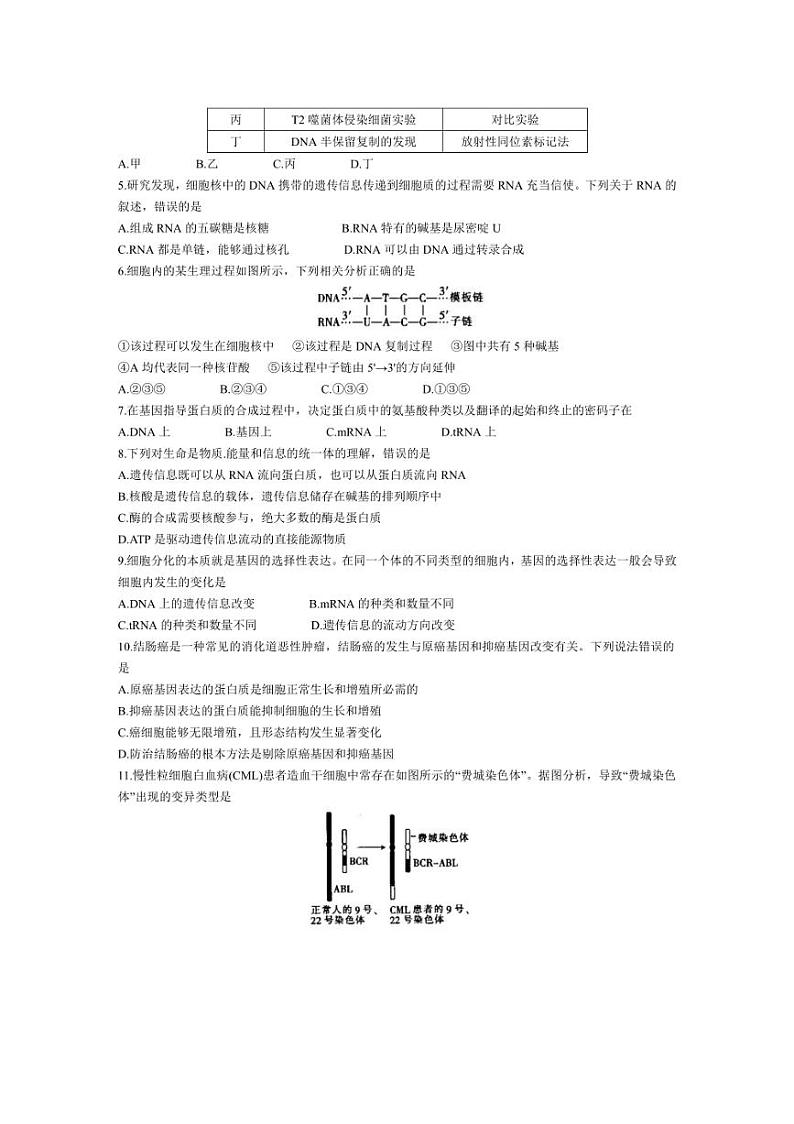 [生物]河北省邢台市邢襄联盟2023～2024学年高一下学期第三次月考试题生物（有答案）第2页