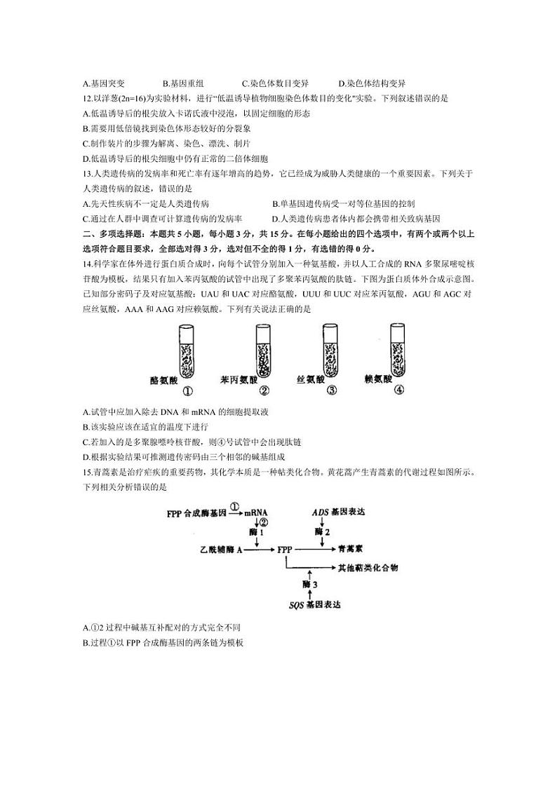 [生物]河北省邢台市邢襄联盟2023～2024学年高一下学期第三次月考试题生物（有答案）第3页