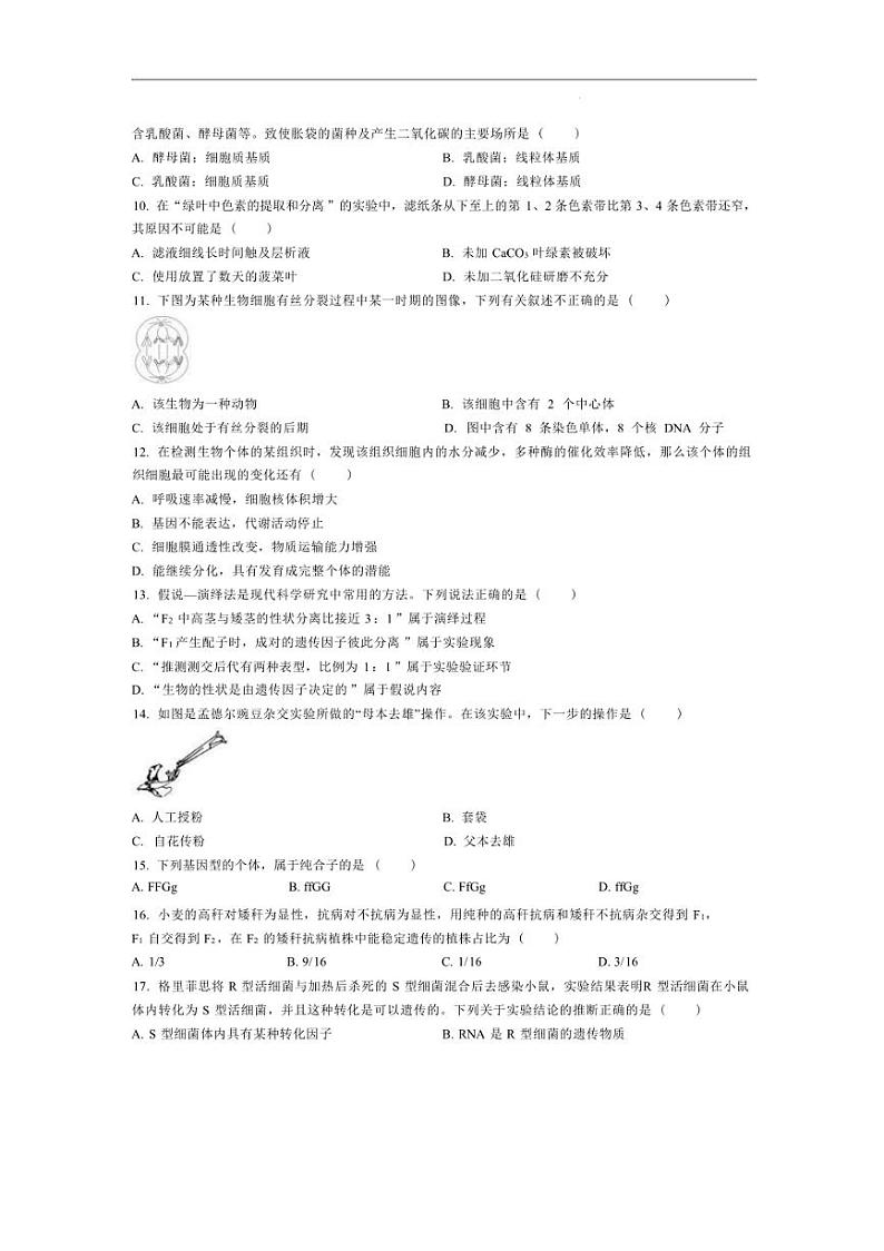 [生物]浙江省宁波市鄞州区正始中学2023～2024学年高一下学期第一次月考生物试卷（无答案）第2页