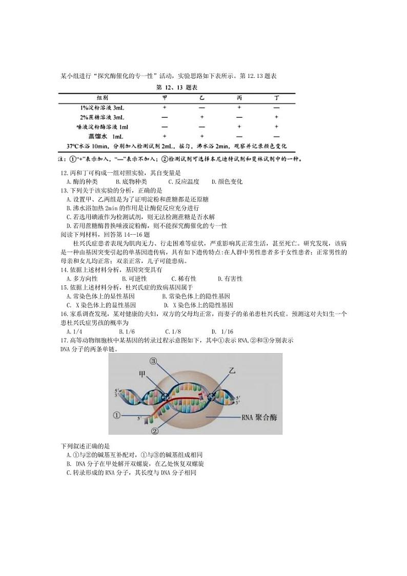 [生物]浙江省诸暨中学暨阳分校2023～2024学年高一下学期期中考试生物（学）试卷（有答案）第2页