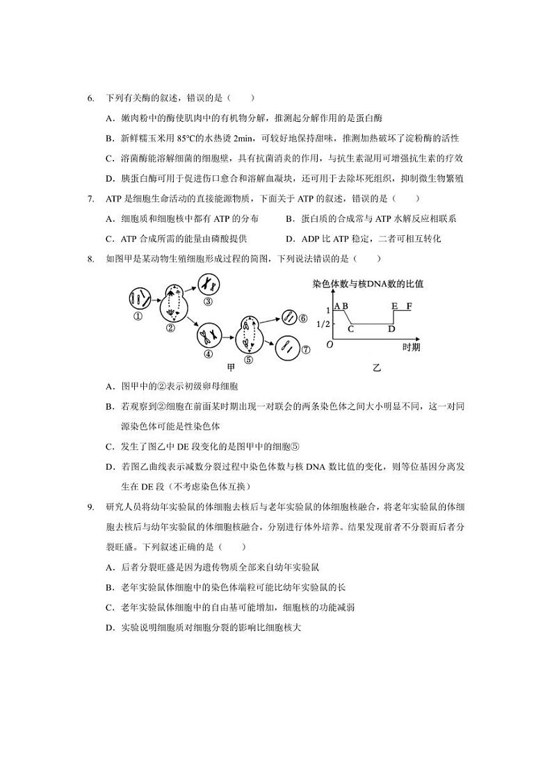 [生物]湖北省2023～2024学年高一下学期5月月考生物试卷（有答案）第3页