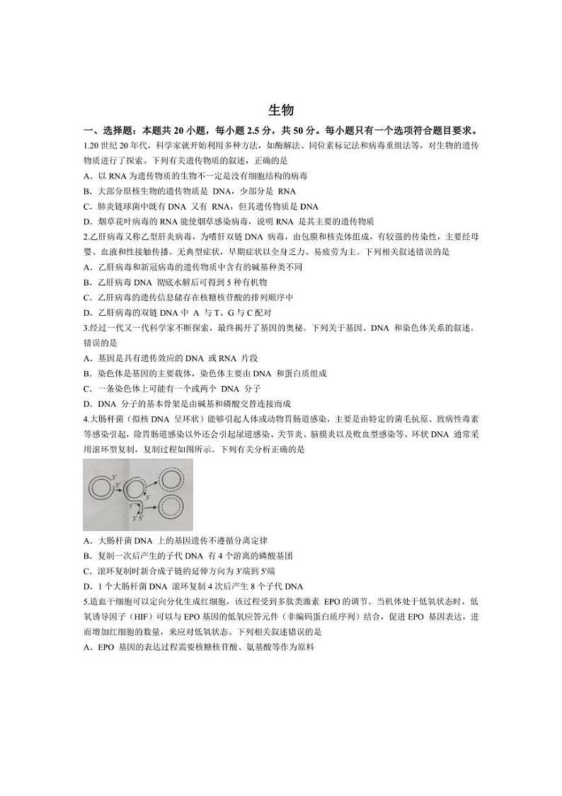 [生物]河南省洛阳市强基联盟2023～2024学年高一下学期5月月考试题生物(有答案)01