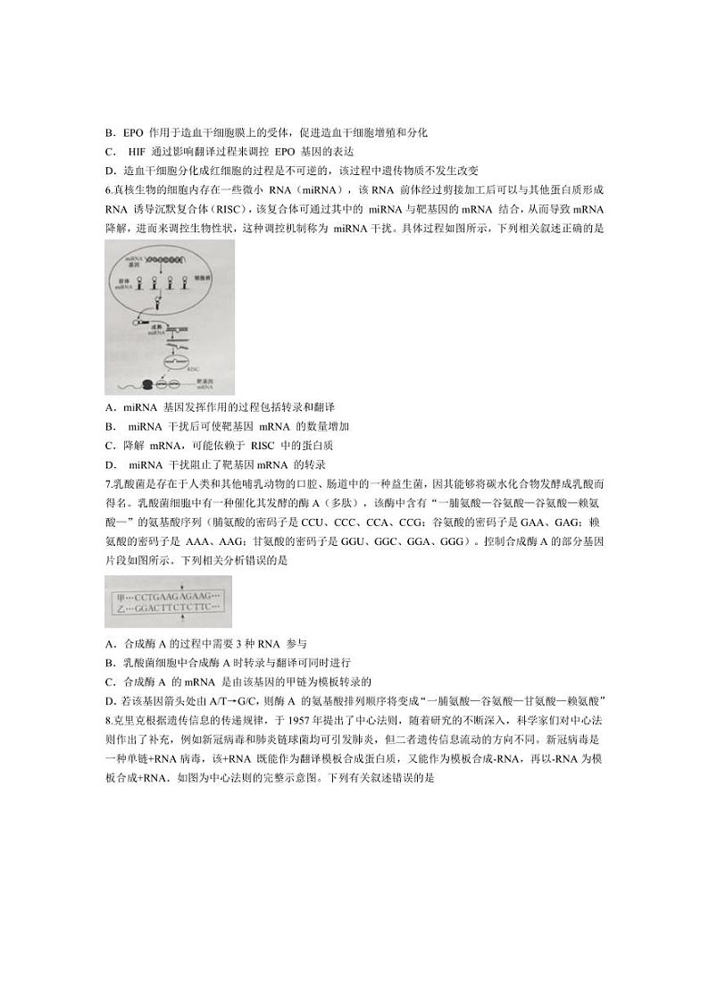 [生物]河南省洛阳市强基联盟2023～2024学年高一下学期5月月考试题生物(有答案)02