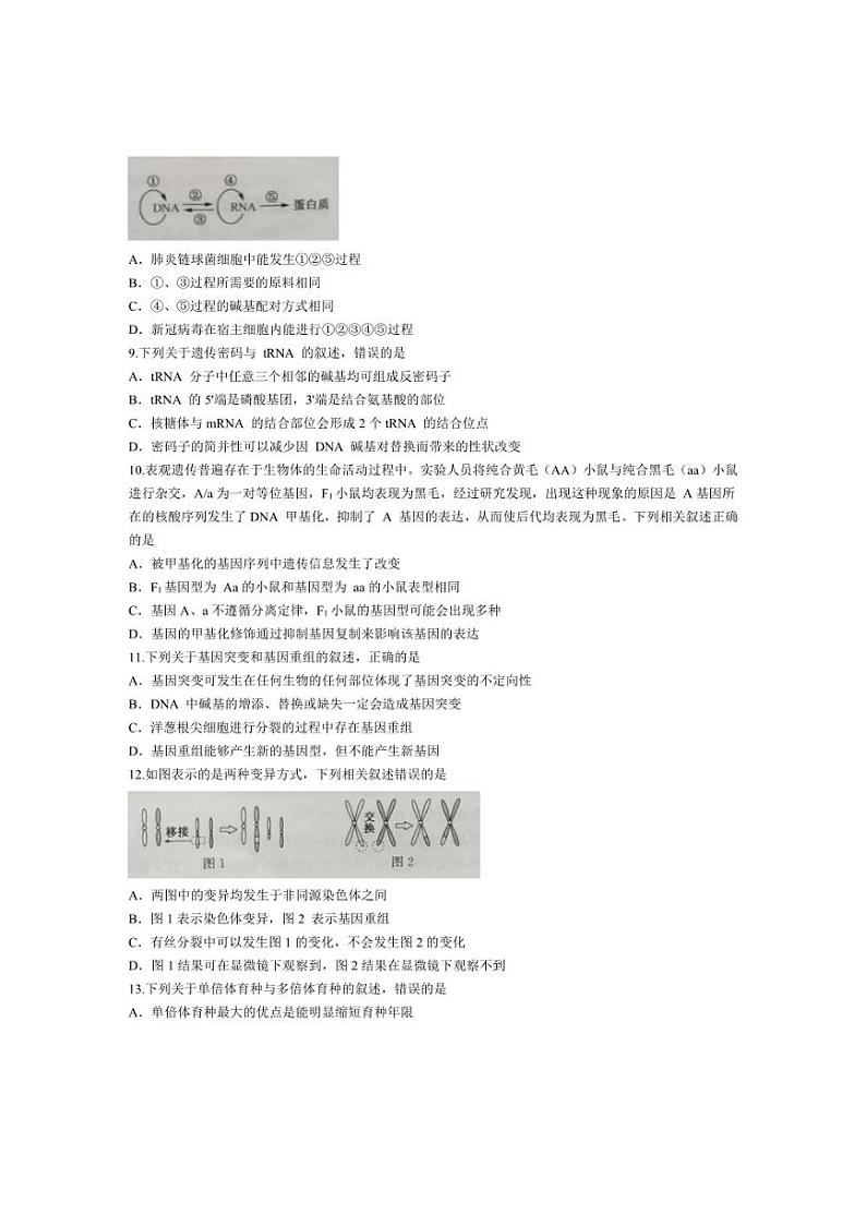 [生物]河南省洛阳市强基联盟2023～2024学年高一下学期5月月考试题生物(有答案)03