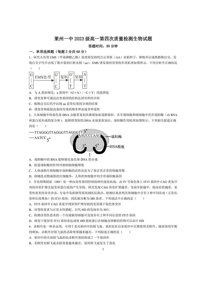 [生物]山东省烟台市莱州市莱州市第一中学2023～2024学年高一下学期6月月考生物试题（有答案）01