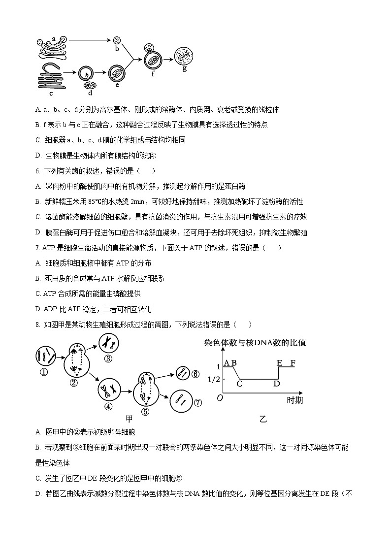 湖北省新高考联考协作体2023-2024学年高一下学期5月联考生物试题（Word版附解析）03
