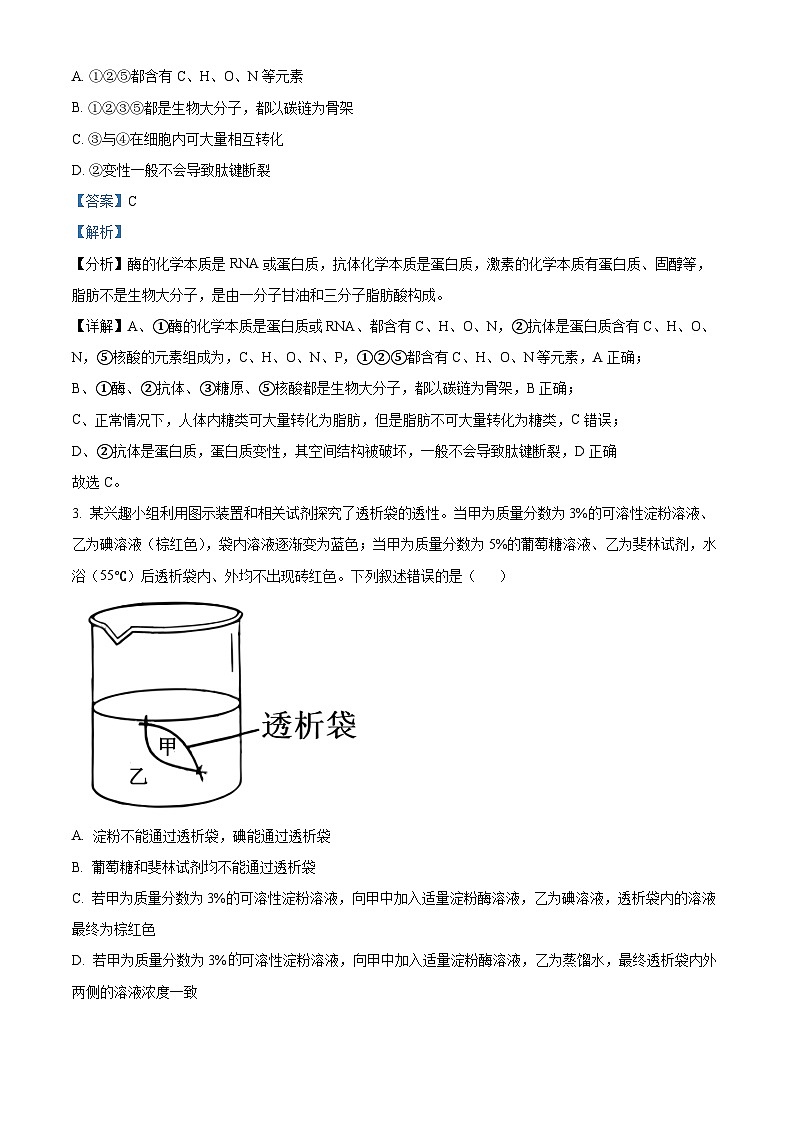 湖北省新高考联考协作体2023-2024学年高一下学期5月联考生物试题（Word版附解析）02