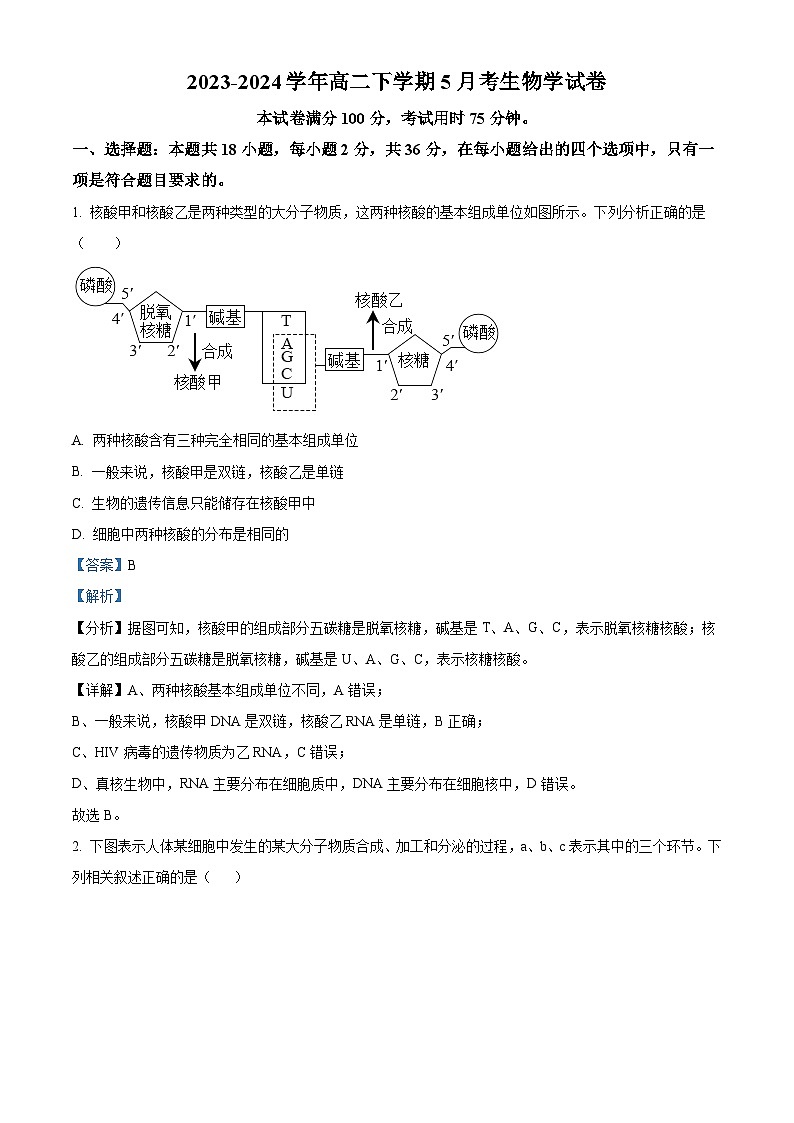 湖北省武汉市第四十三高级中学2023-2024学年高二下学期5月月考生物试题（Word版附解析）01