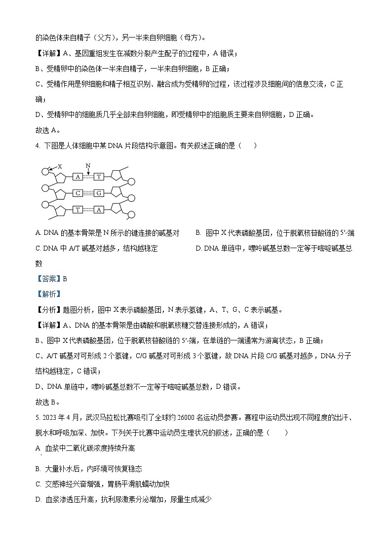 湖北省武汉市第四十三高级中学2023-2024学年高二下学期5月月考生物试题（Word版附解析）03