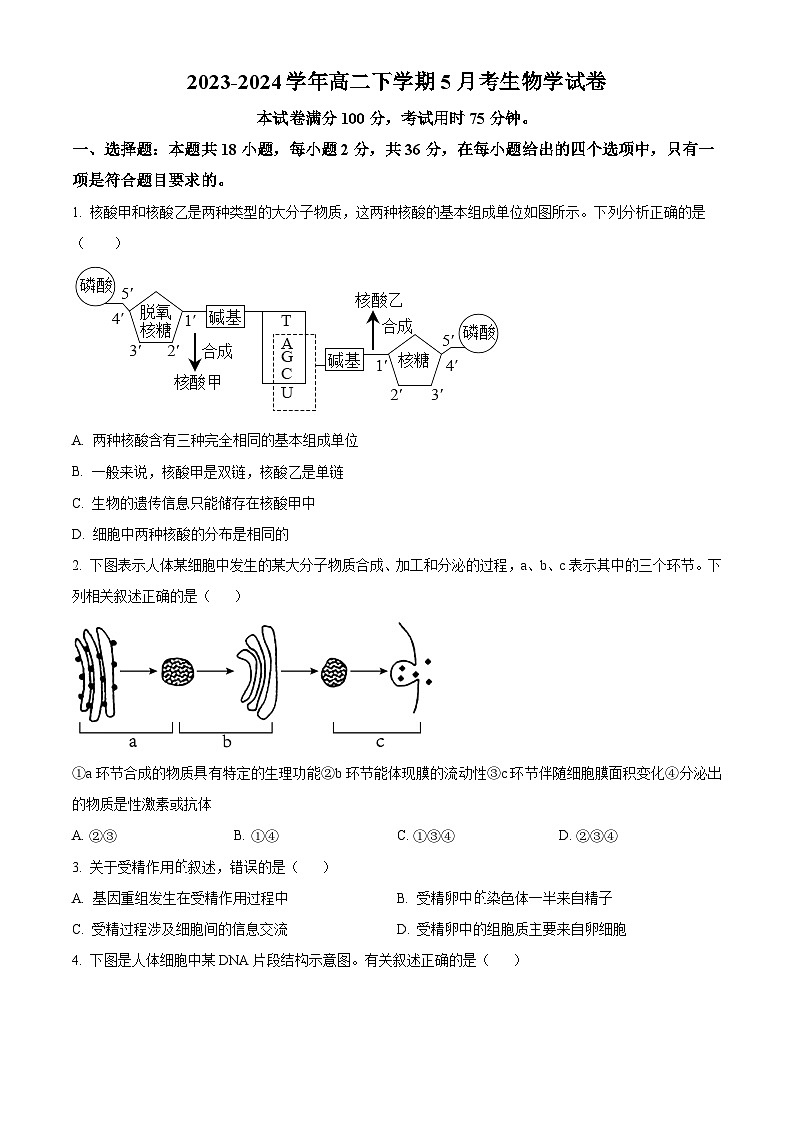 湖北省武汉市第四十三高级中学2023-2024学年高二下学期5月月考生物试题（Word版附解析）01