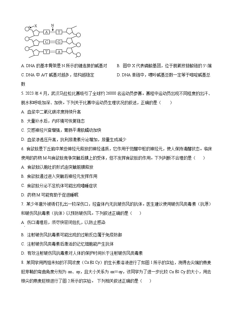 湖北省武汉市第四十三高级中学2023-2024学年高二下学期5月月考生物试题（Word版附解析）02