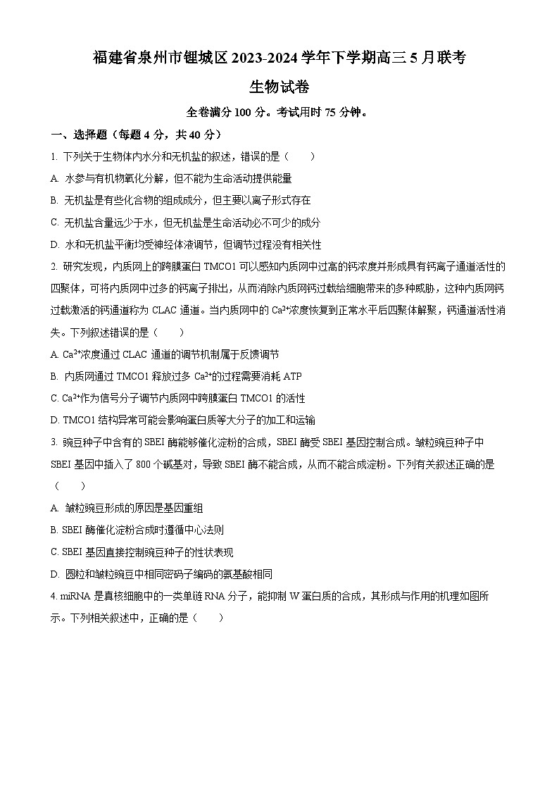 福建省2024届泉州市鲤城区高三预测模拟预测生物试卷（Word版附解析）01