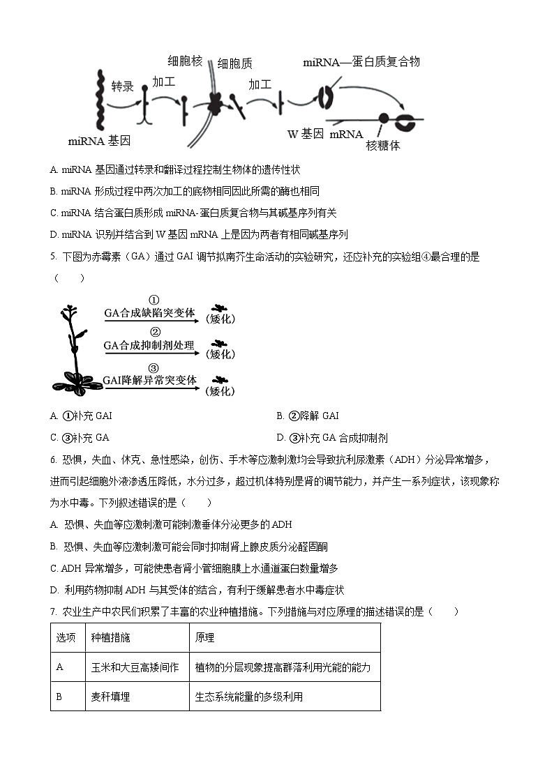 福建省2024届泉州市鲤城区高三预测模拟预测生物试卷（Word版附解析）02