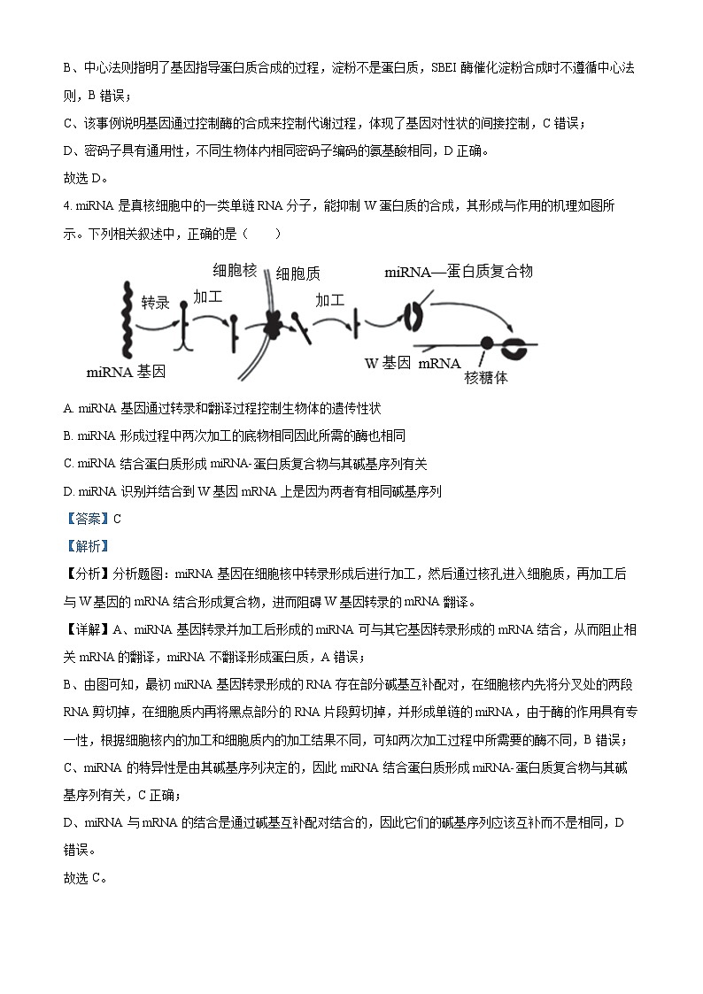 福建省2024届泉州市鲤城区高三预测模拟预测生物试卷（Word版附解析）03
