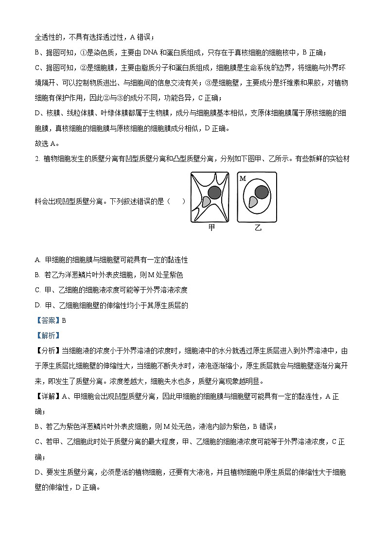 江西省上饶市第四中学2023-2024学年高三下学期5月月考生物试题（解析版）第2页