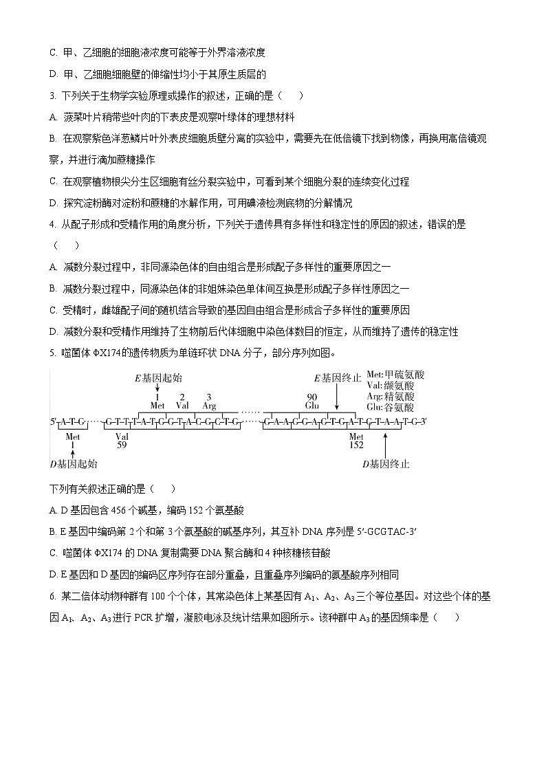 江西省上饶市第四中学2023-2024学年高三下学期5月月考生物试题（原卷版）第2页