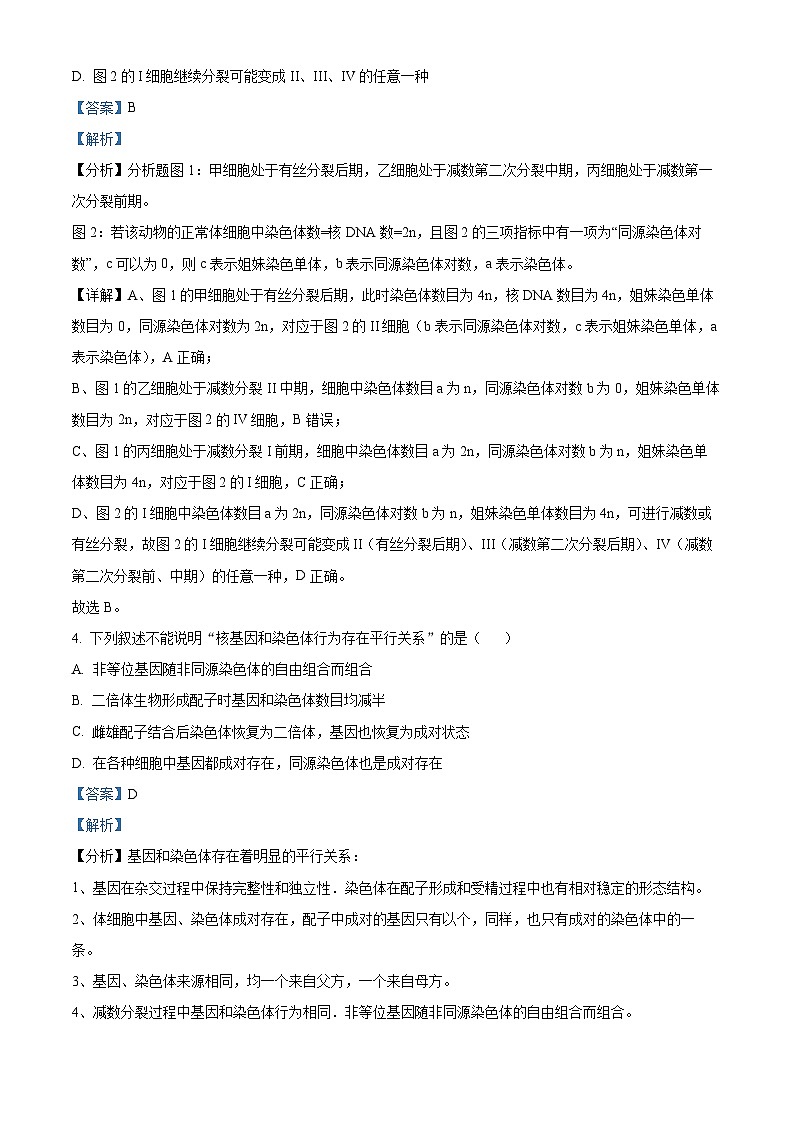 江西省上饶市广丰区洋口中学2023-2024学年高一下学期5月生物检测试卷（解析版）第3页