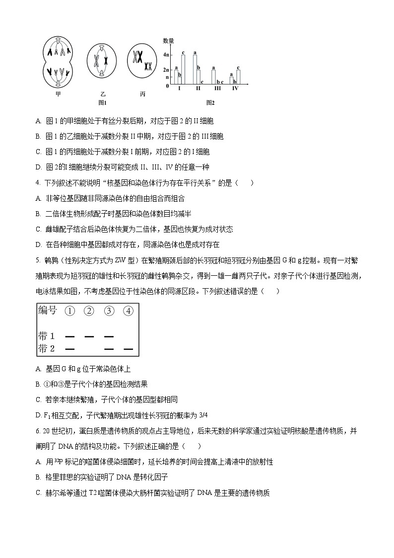 江西省上饶市广丰区洋口中学2023-2024学年高一下学期5月生物检测试卷（原卷版）第2页