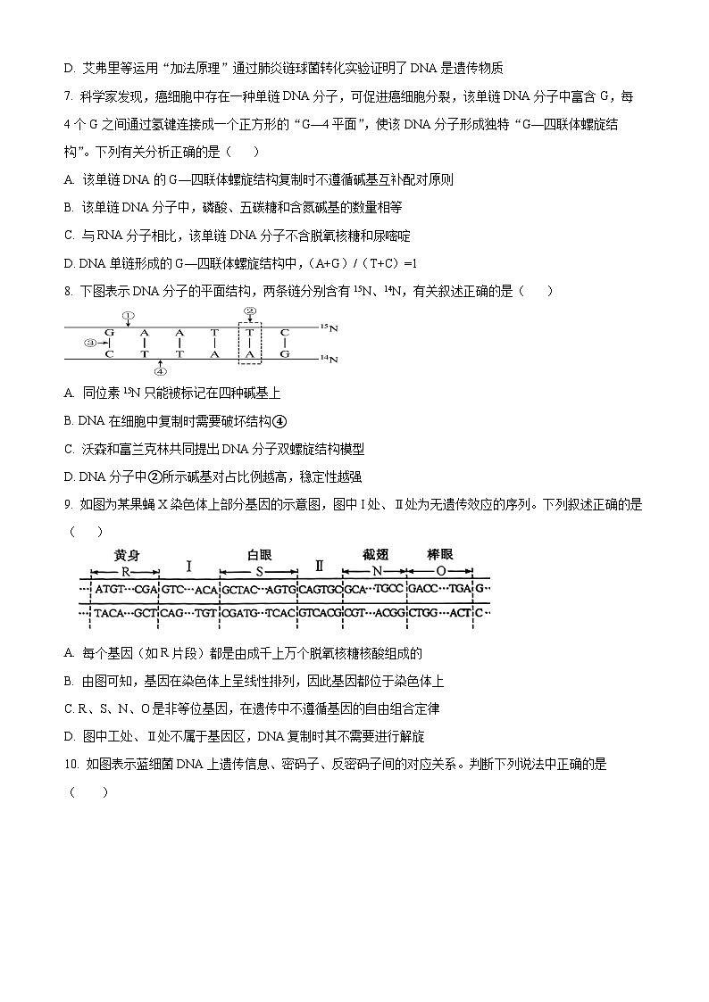 江西省上饶市广丰区洋口中学2023-2024学年高一下学期5月生物检测试卷（原卷版）第3页