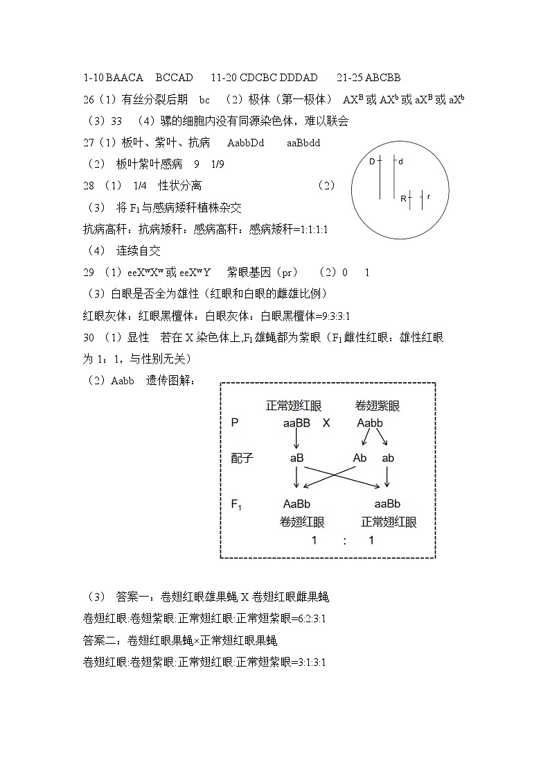 2023~2024下学期高一生物3月月考答案第1页