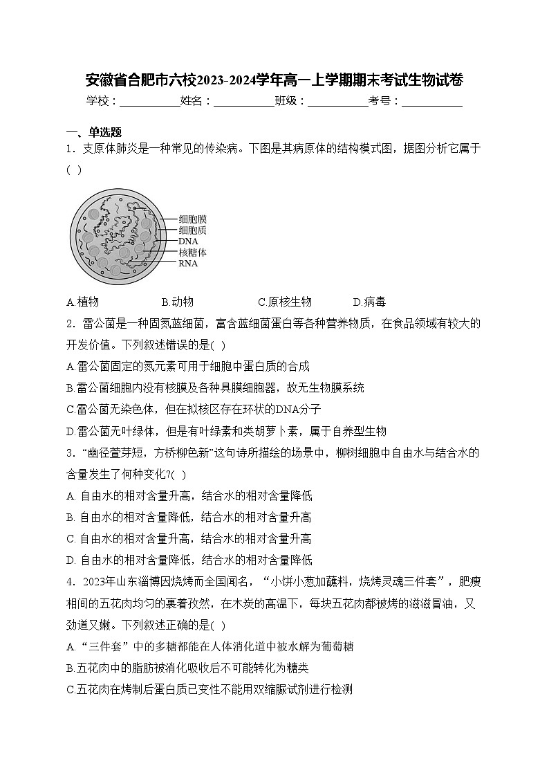 安徽省合肥市六校2023-2024学年高一上学期期末考试生物试卷(含答案)01
