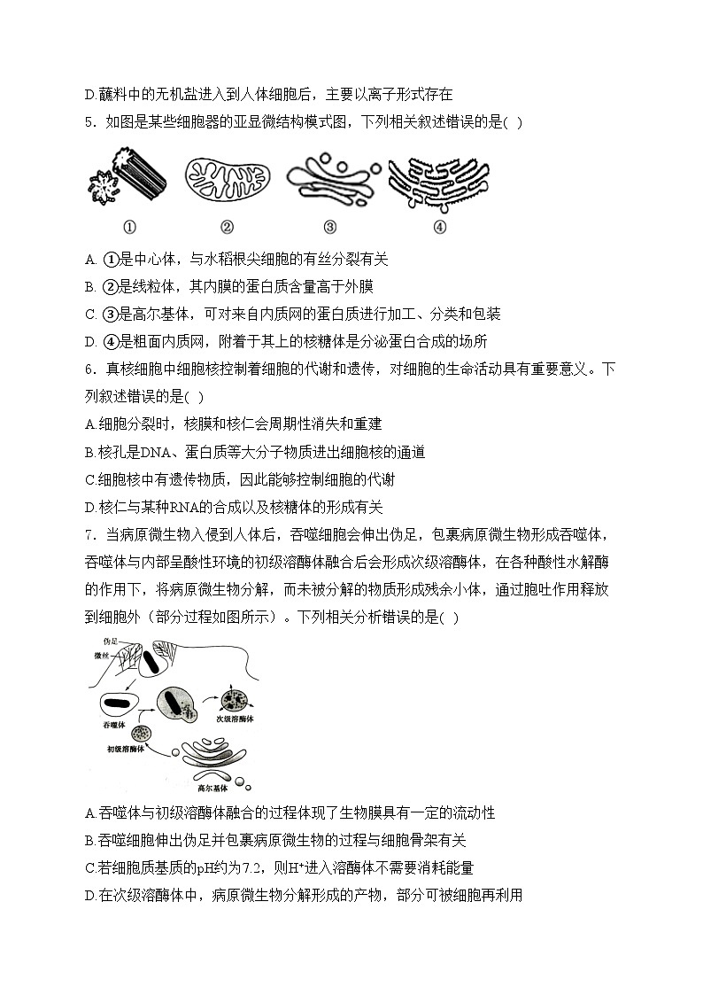 安徽省合肥市六校2023-2024学年高一上学期期末考试生物试卷(含答案)02