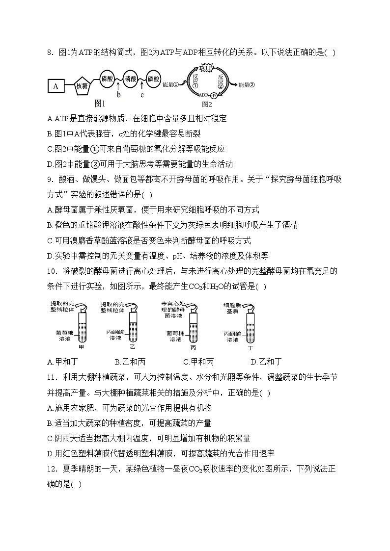 安徽省合肥市六校2023-2024学年高一上学期期末考试生物试卷(含答案)03