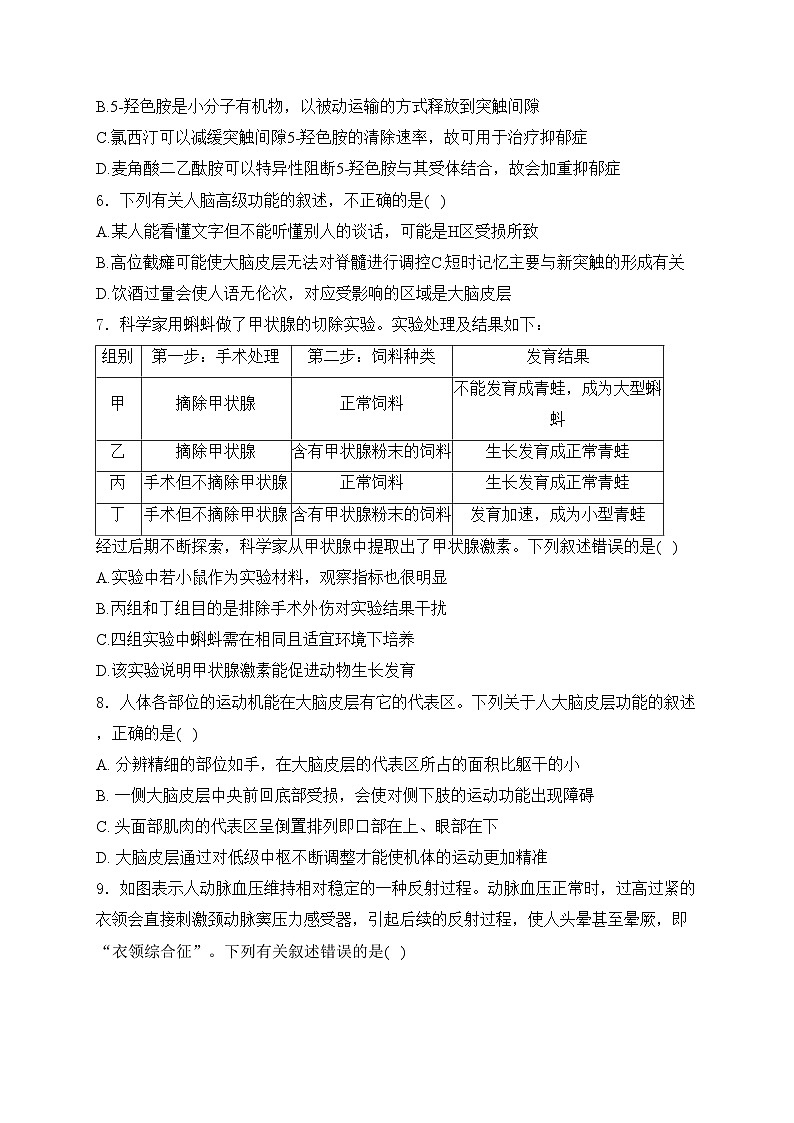 鹤岗市第三中学2023-2024学年高二上学期10月月考生物试卷(含答案)02