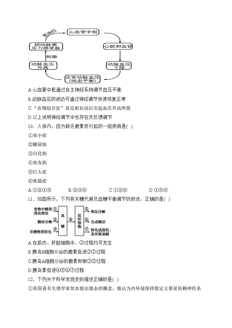 鹤岗市第三中学2023-2024学年高二上学期10月月考生物试卷(含答案)03