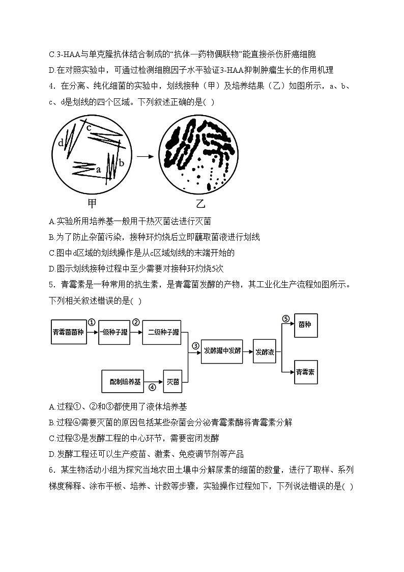 江苏省宿迁市泗阳县两校2023-2024学年高二下学期第二次学情调研（5月月考）生物试卷(含答案)02