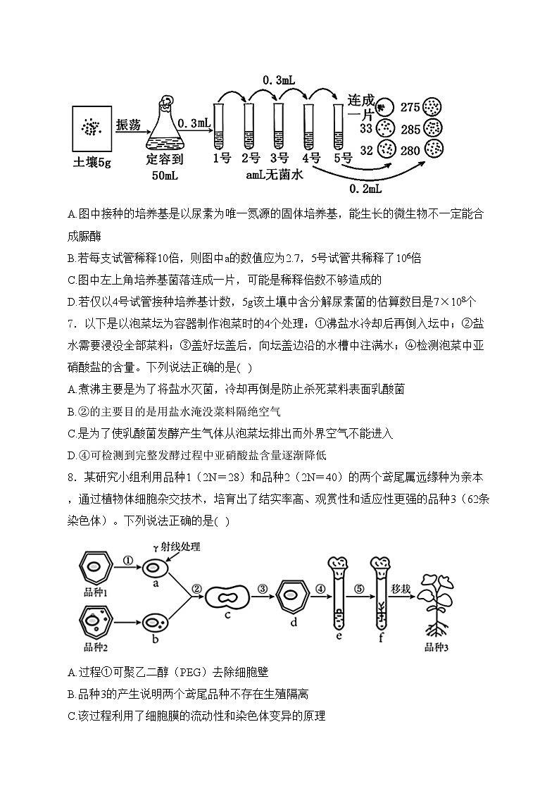 江苏省宿迁市泗阳县两校2023-2024学年高二下学期第二次学情调研（5月月考）生物试卷(含答案)03