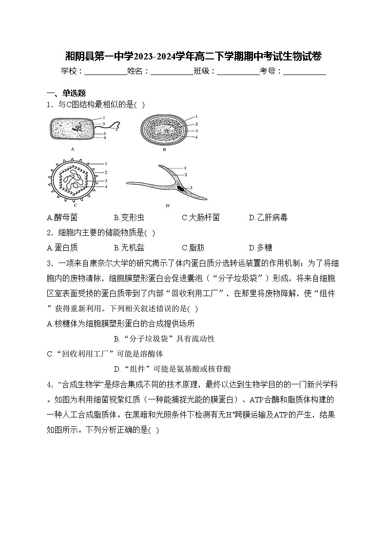 湘阴县第一中学2023-2024学年高二下学期期中考试生物试卷(含答案)01