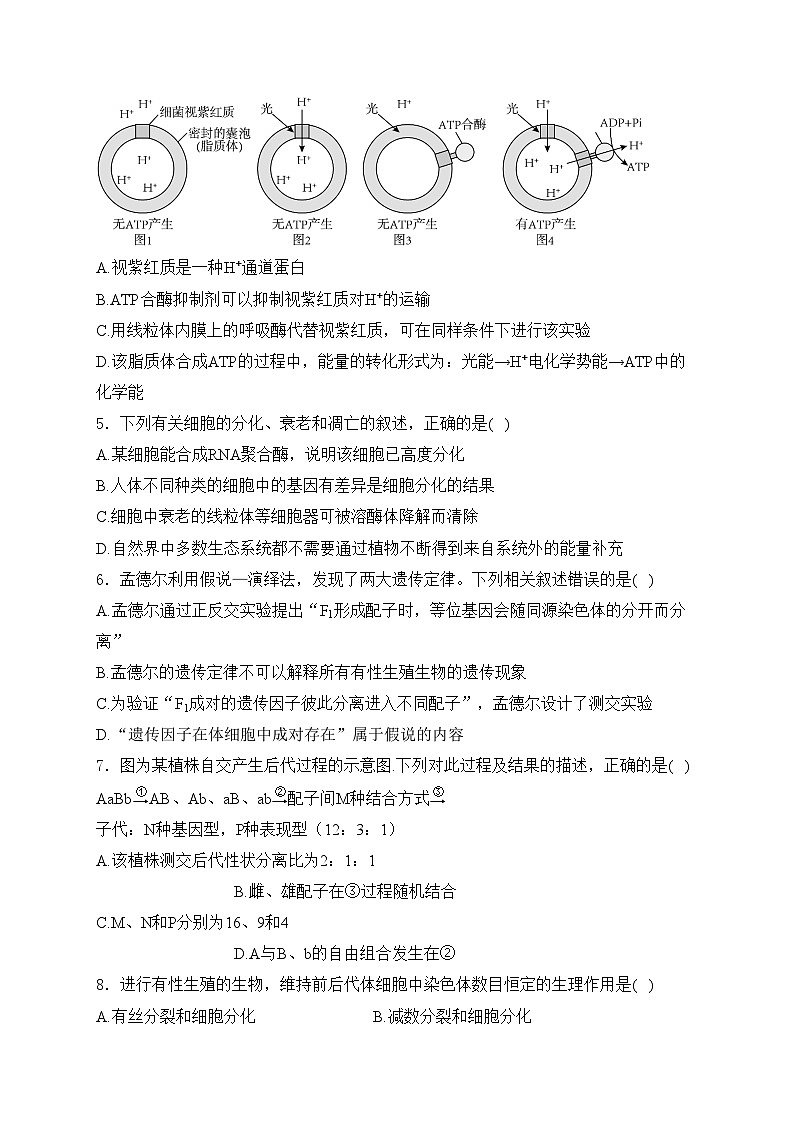 湘阴县第一中学2023-2024学年高二下学期期中考试生物试卷(含答案)02