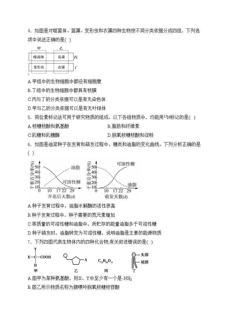 重庆市朝阳中学2023-2024学年高一下学期期末考试生物试卷(含答案)02