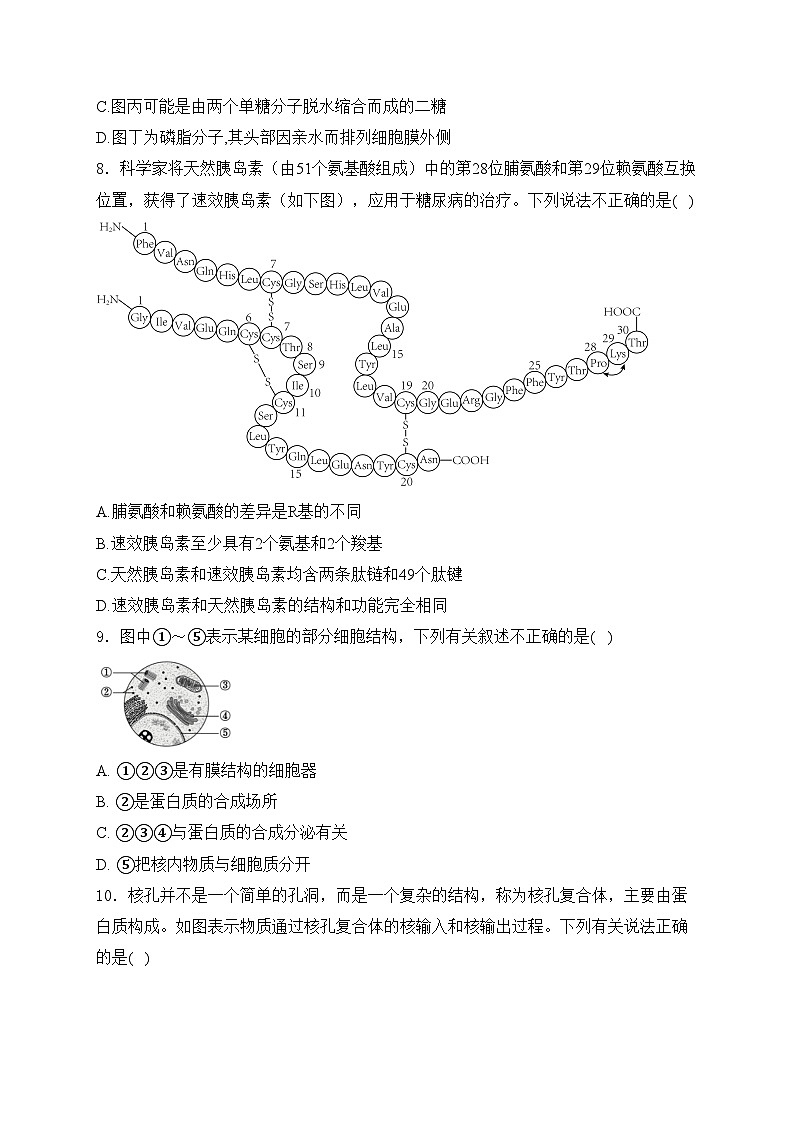 重庆市朝阳中学2023-2024学年高一下学期期末考试生物试卷(含答案)03