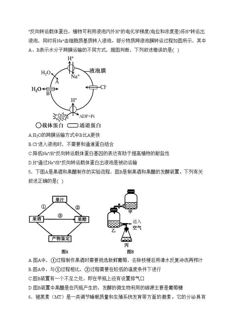 重庆市渝西中学2023-2024学年高二下学期6月月考生物试卷(含答案)第2页